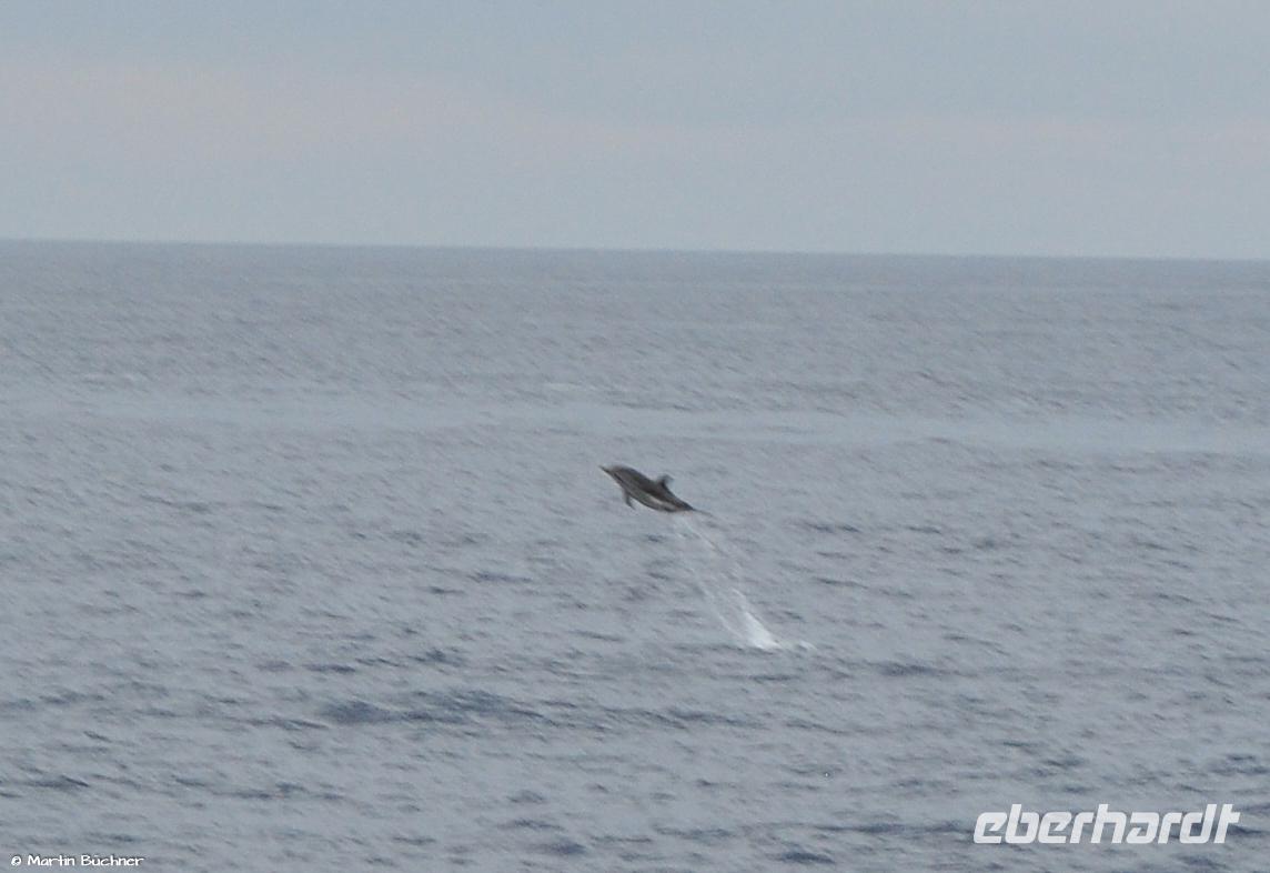 Tag 05 Panarea & Stromboli IT-VULKA (39)