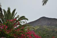 Tag 05 Panarea & Stromboli IT-VULKA (43)