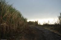 Tag 05 Panarea & Stromboli IT-VULKA (45)