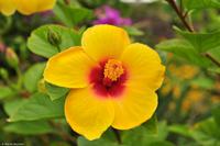 Tag 06 Stromboli IT-VULKA (3)