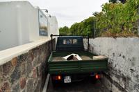 Tag 06 Stromboli IT-VULKA (6)