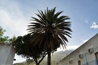 Tag 06 Stromboli IT-VULKA (8)