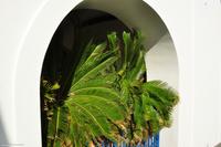 Tag 06 Stromboli IT-VULKA (9)