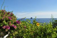 Tag 07 Taormina IT-VULKA (1)