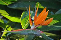 Tag 07 Taormina IT-VULKA (14)