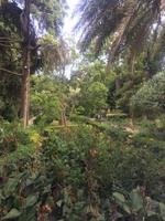 Stadtpark in Taormina