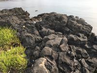 Erkaltete Lave in der Bucht von Giardini Naxos