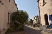 Auf dem Burgberg Liparis