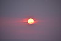 Rosafarbener Sonnenuntergang