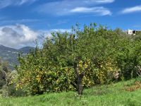 3. Reisetag – Wanderung auf Lipari