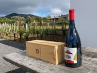 3. Reisetag – Führung und Weinverkostung auf Weingut „Tenuta di Castellaro“