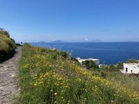 6. Tag – Inselrundfahrt um Stromboli – Spaziergang durch Ginostra