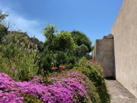 6. Tag – Inselrundfahrt um Stromboli – Spaziergang durch Ginostra