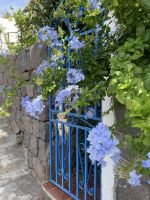 Wanderung auf der Insel Panarea