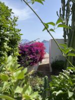 Wanderung auf der Insel Panarea