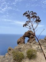Panarea - Abstieg zur Cala Junco