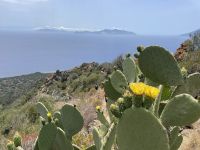 Panarea - Abstieg zur Cala Junco