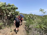 Panarea - Abstieg zur Cala Junco