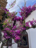 Im Hotel Villaggio Stromboli