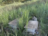 Stromboli - abendlicher Aufstieg