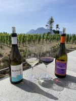 Lipari - Weinprobe in der Tenuta Castellaro