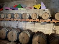 Lipari - Weinprobe in der Tenuta Castellaro