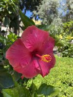 Impressionen aus Taormina