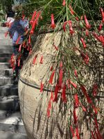 Impressionen aus Taormina