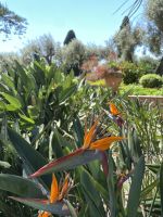 Impressionen aus Taormina
