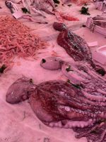 Catania - Fischmarkt