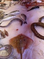 Catania - Fischmarkt