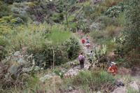 Wanderung auf Lipari - Abstieg zum Strand