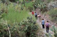 Wanderung auf Lipari - Abstieg zum Strand