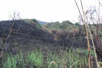 Panorama-Wanderung auf Stromboli - Wir hören erste Ausbrüche