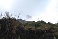 Panorama-Wanderung auf Stromboli - ... und sehen sie auch
