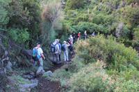 Panorama-Wanderung auf Stromboli