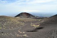 Die Vegetation kehrt zurück...