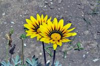 Wanderung auf Lipari