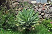 Wanderung auf Lipari