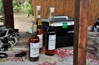 Malvasia - der süße Wein der Äolischen Inseln