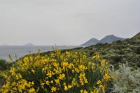 Wanderung auf Lipari (Alicudi, Filicudi und Salina)