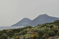 Wanderung auf Lipari (Salina)