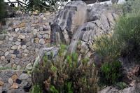 Inselrundfahrt auf Lipari - Obsidianaufschluss