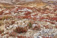 Wanderung auf Lipari