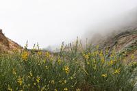 Wanderung auf Lipari
