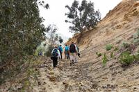 Wanderung auf Lipari