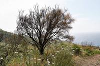 Wanderung auf Lipari