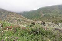 Wanderung auf Lipari