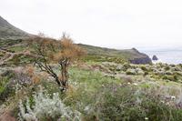 Wanderung auf Lipari