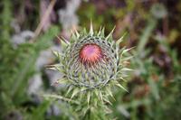 Wanderung auf Lipari
